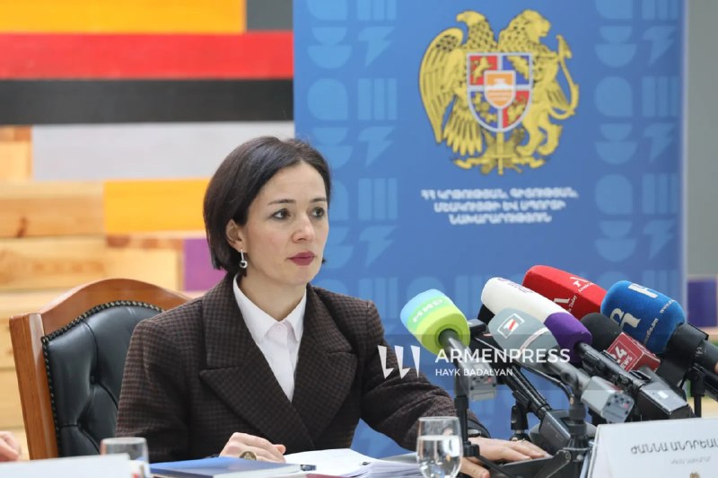 Министр Андреасян подаст в суд за клевету о закрытии школ перед выборами в Ереване