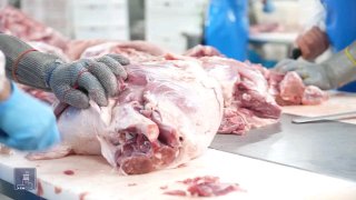 Компания «Атенк» расширяет производство мясных продуктов в Армении