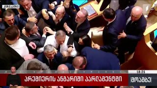 Драка в парламенте Грузии: оппозиция обвинила премьера в подчинении Иванишвили — реакция в Ереване