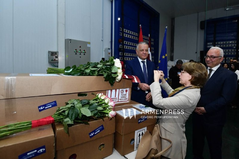 Из Армении в Латвию экспортирована первая партия из 5500 роз — как это отразится на выборах в Шенгавите?