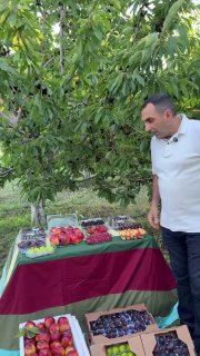 Первая партия армянских фруктов отправлена из Шенгавита в ОАЭ