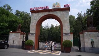Животные из особняка Гагика Царукяна проходят адаптацию в Ереванском зоопарке