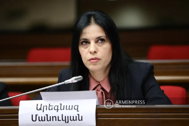 Арест члена правления «Мать Армения» Арегназ Манукян на два месяца: что известно в Ереване